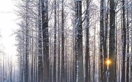 美哉!山海天的雪景如诗又如画