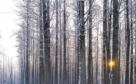 美哉！山海天的雪景如诗又如画