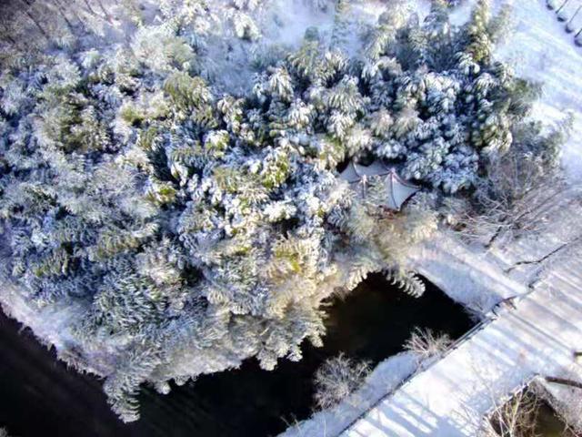 美哉！山海天的雪景如诗又如画