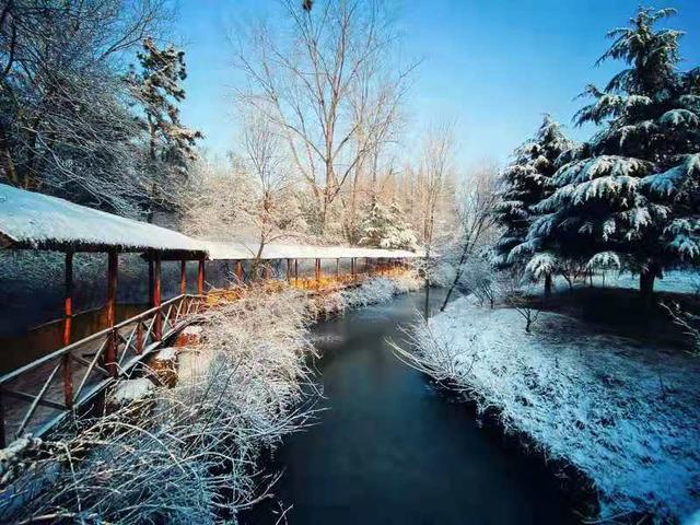 美哉！山海天的雪景如诗又如画