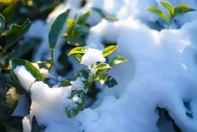 美哉!山海天的雪景如诗又如画