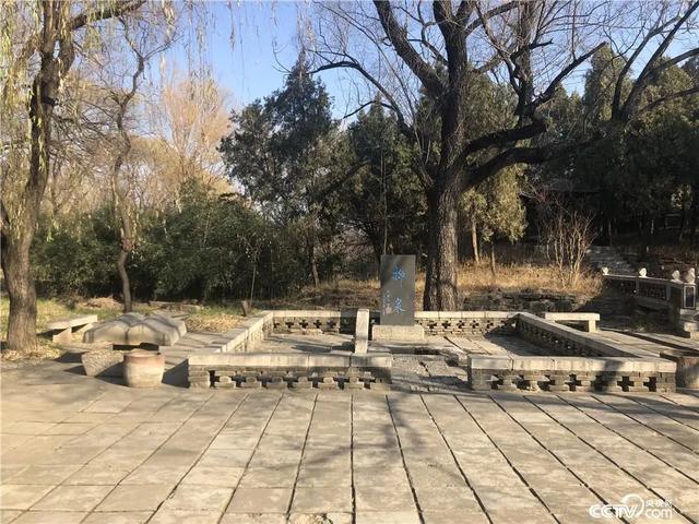 淄博又来刷屏了!这次是在央视“出镜” !连上三天!